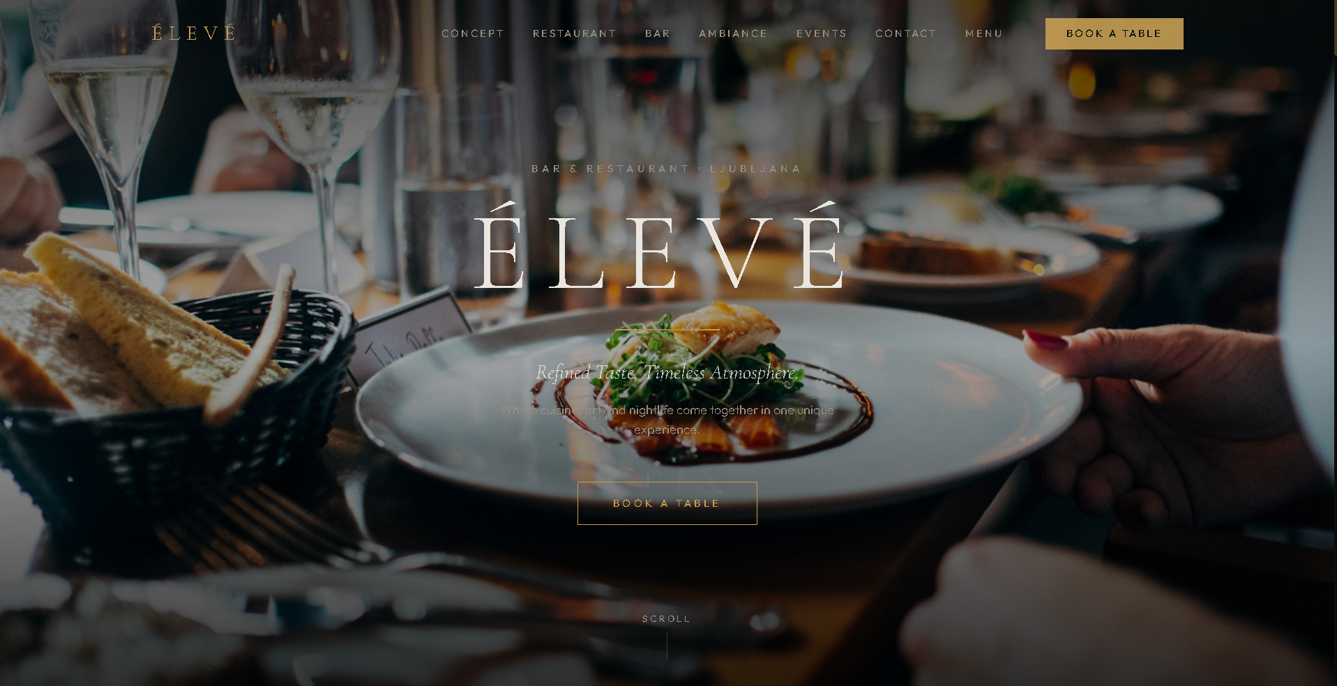 Website development project example
